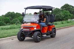 2025 Denago Rover XL Lava