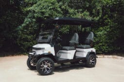 2025 Denago Rover XL White