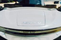 2025 Denago Rover XL Grey