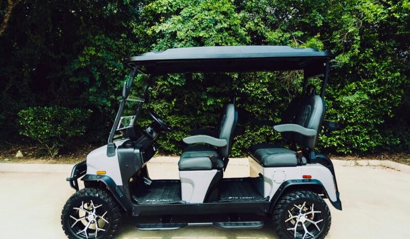 2025 Denago Rover XL Grey full