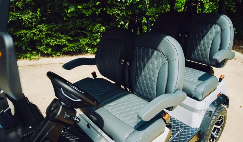 2025 Denago Rover XL Grey full