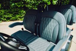 2025 Denago Rover XL Verdant full