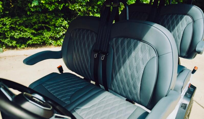 2025 Denago Rover XL Verdant full