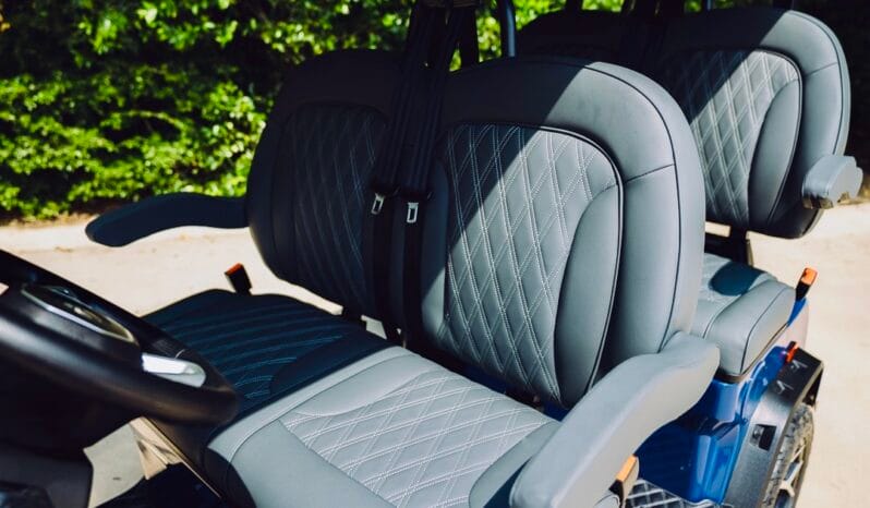 2025 Denago Rover XL Blue full