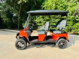 2025 Denago Rover XL Lava full