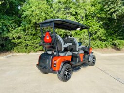 2025 Denago Rover XL Lava full