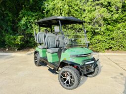 2025 Denago Rover XL Verdant full