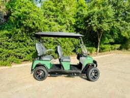 2025 Denago Rover XL Verdant full