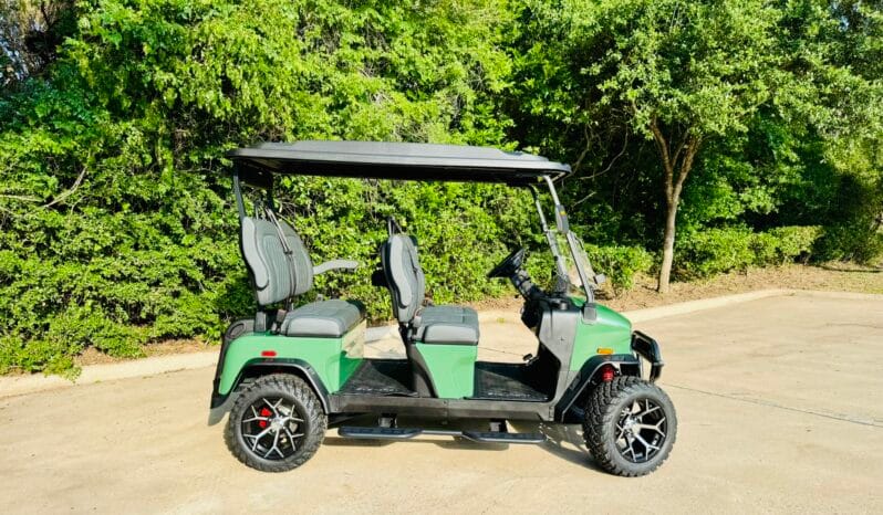 2025 Denago Rover XL Verdant full