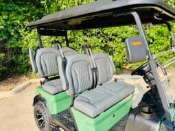 2025 Denago Rover XL Verdant full