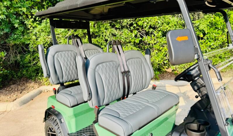 2025 Denago Rover XL Verdant full