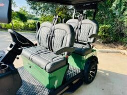 2025 Denago Rover XL Verdant