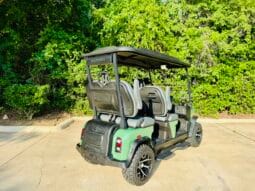 2025 Denago Rover XL Verdant full