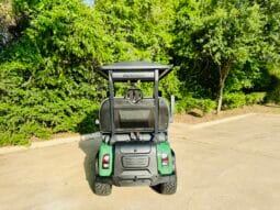 2025 Denago Rover XL Verdant full